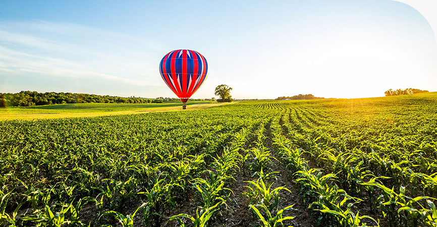 Hot air balloon behind a field